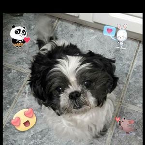 Meet your Posher, Marta